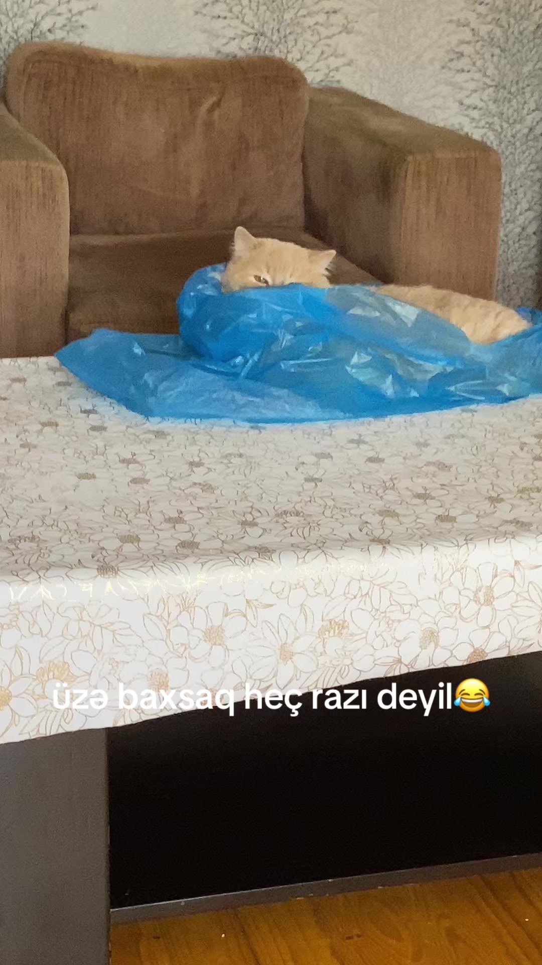 @alis.a777