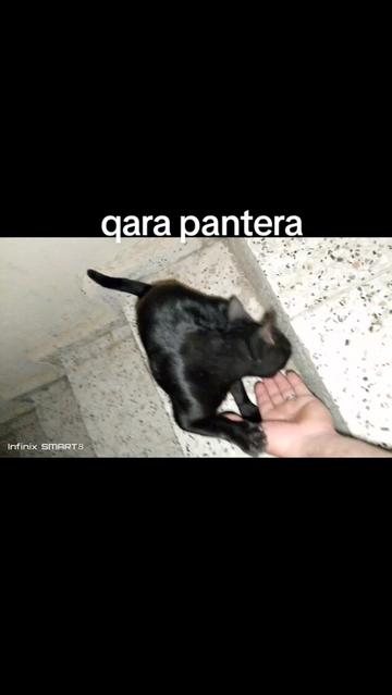 @&raquo;&raquo;──➤ ƏQRƏB ◄──&laquo;&laquo;