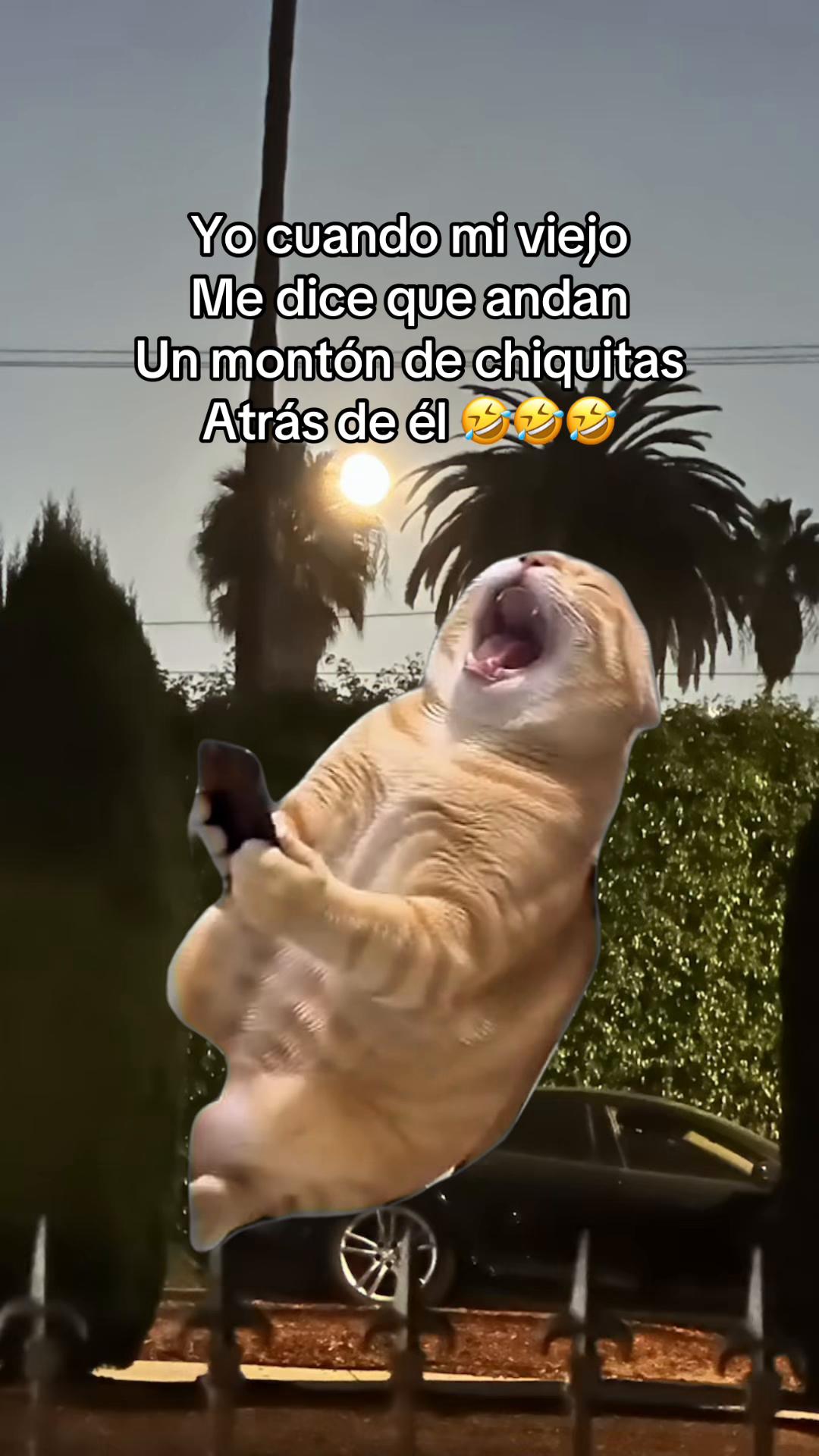 @Historia real