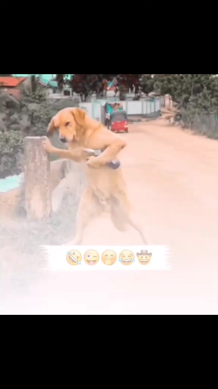 @03029013592