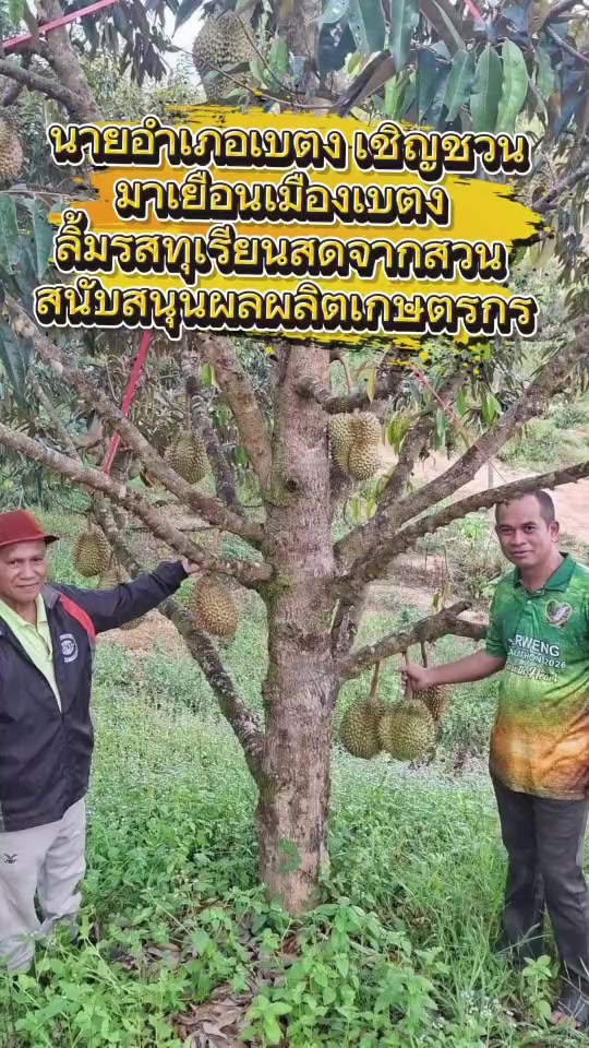 @ประชาสัมพันธ์จังหวัดยะลา