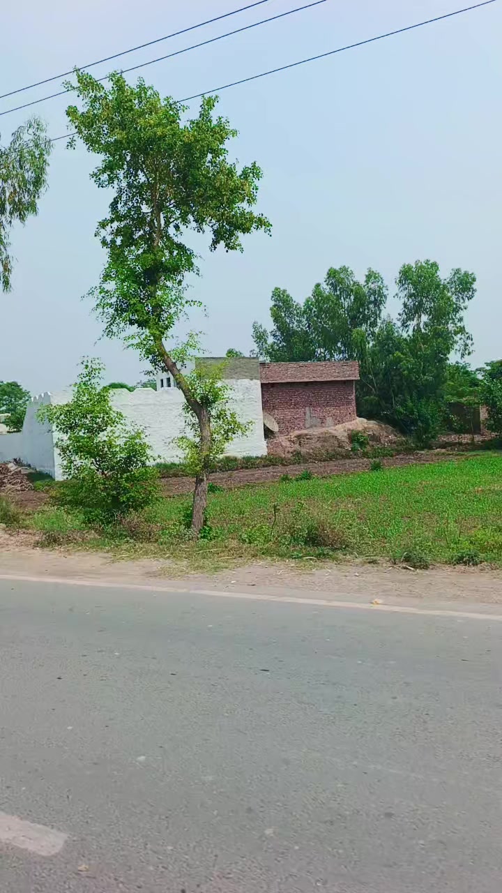 @Aslam forman gholrrhi