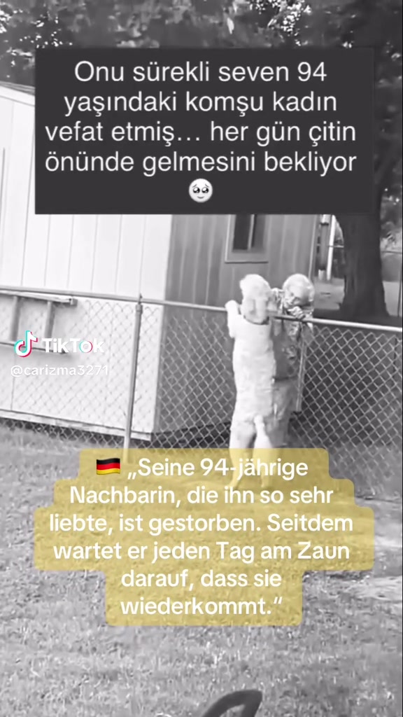 @Berlin