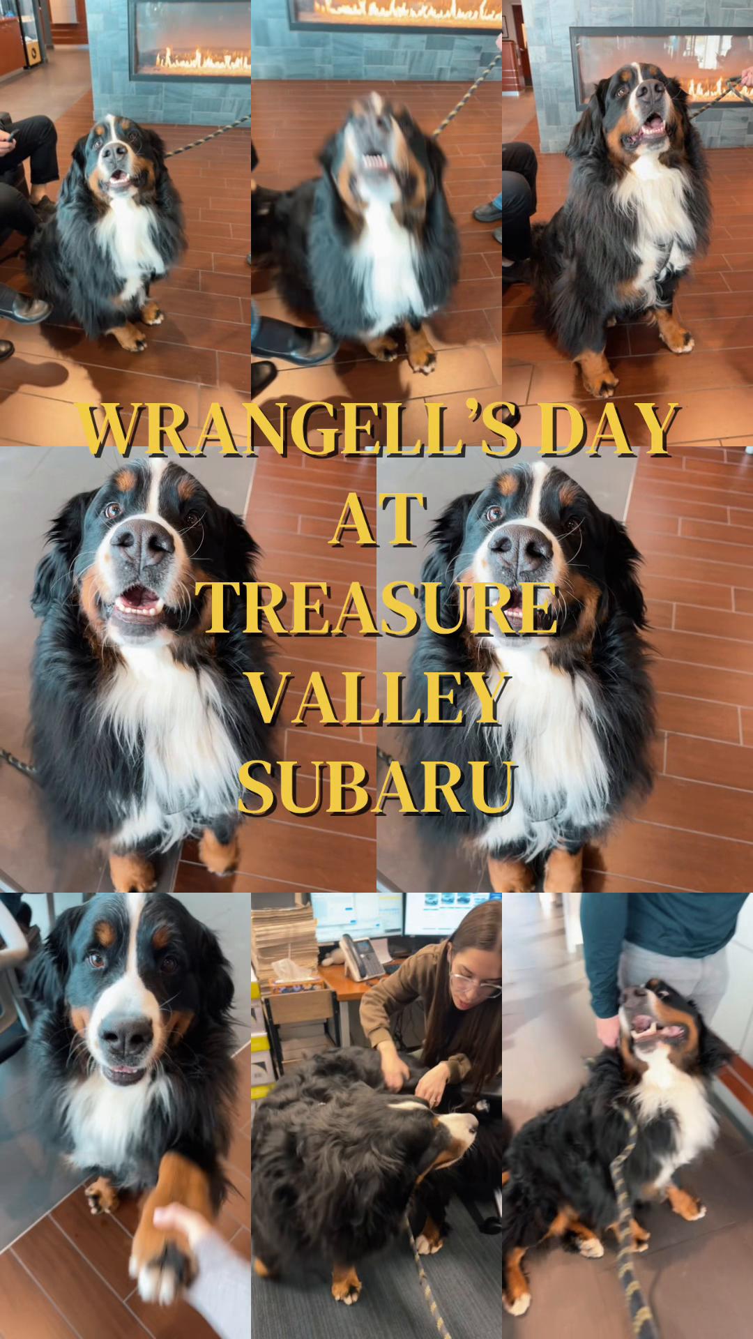 @Treasure Valley Subaru