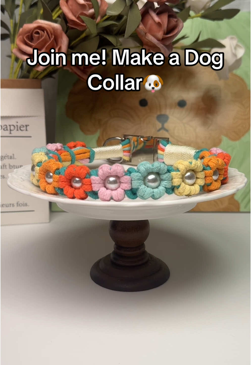 @FurryPalsClub