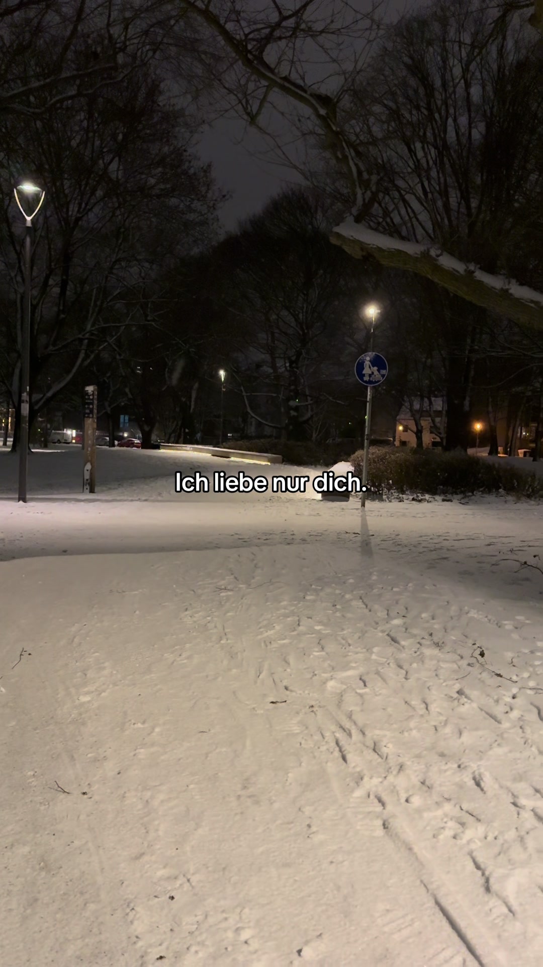 @︎ ︎