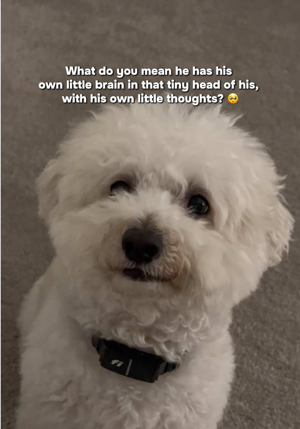 @sammy__and__gabby