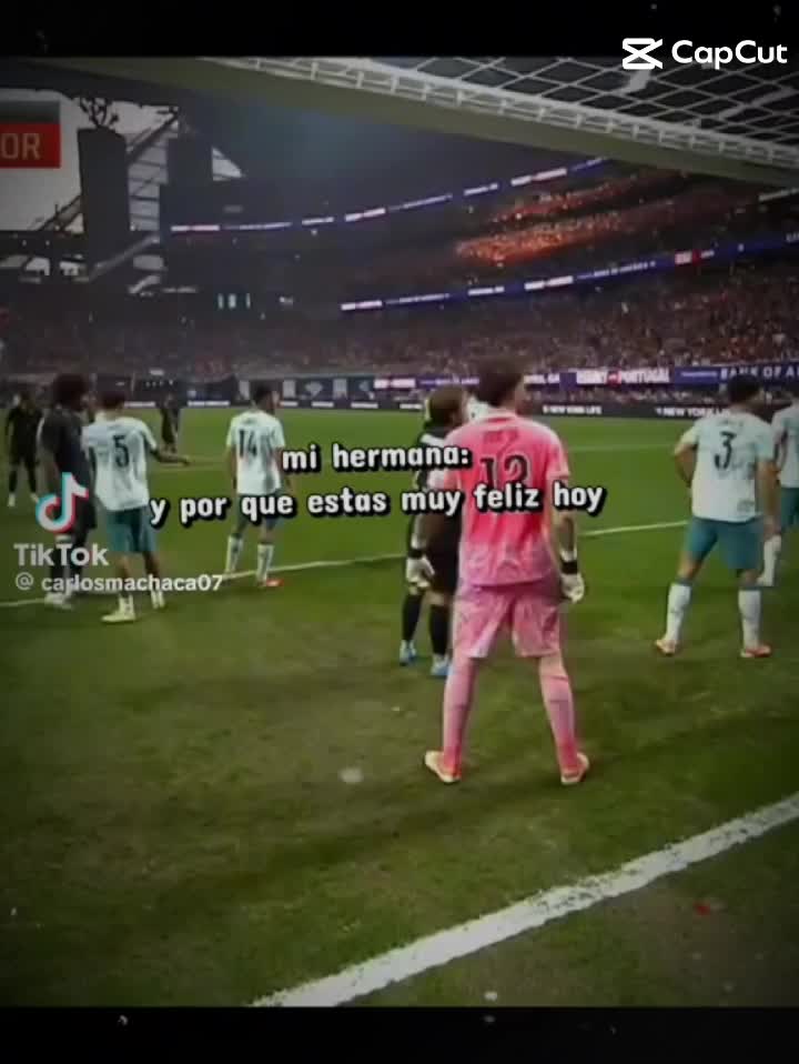 @Mario Domimguez