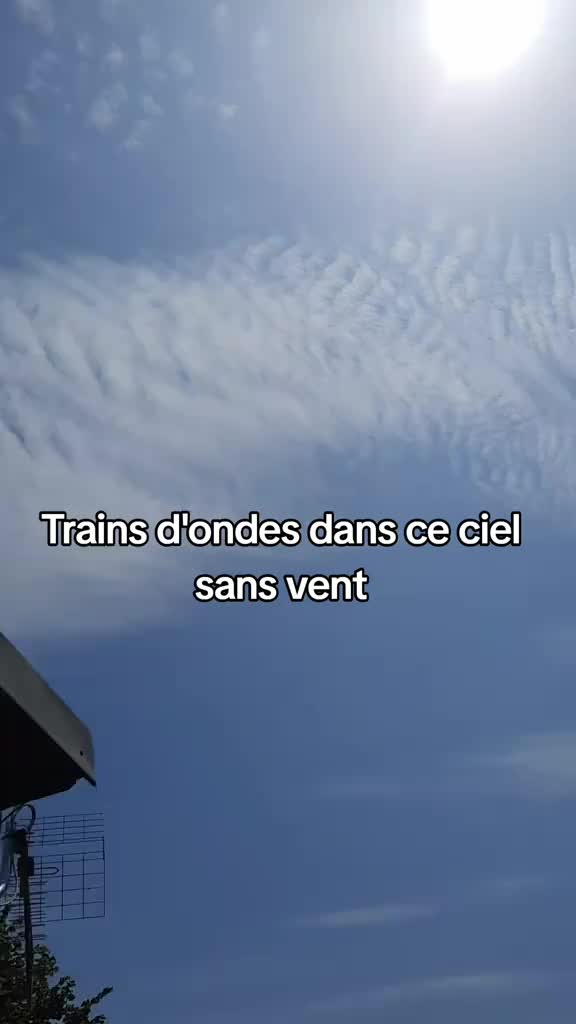 @Dr Free Fréquences
