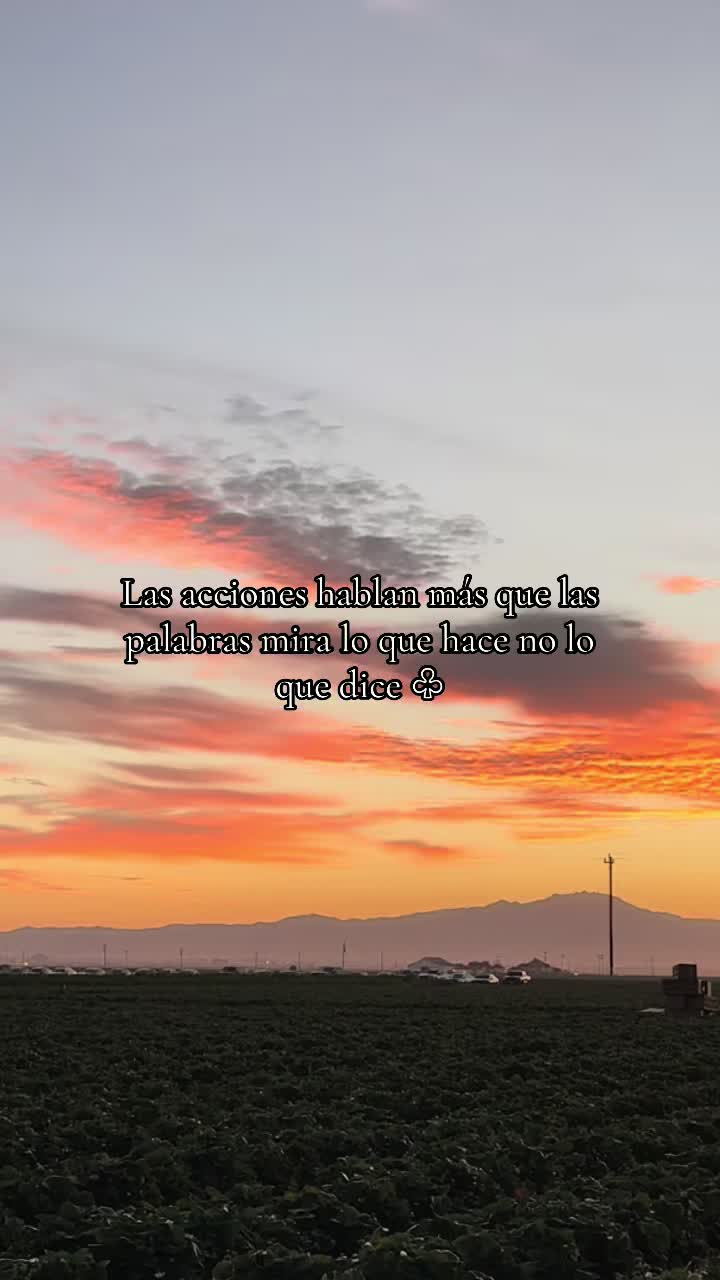@Soto moreno