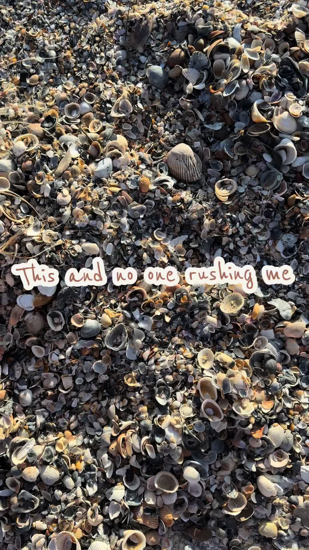 @Ashley Shields🌺🐚