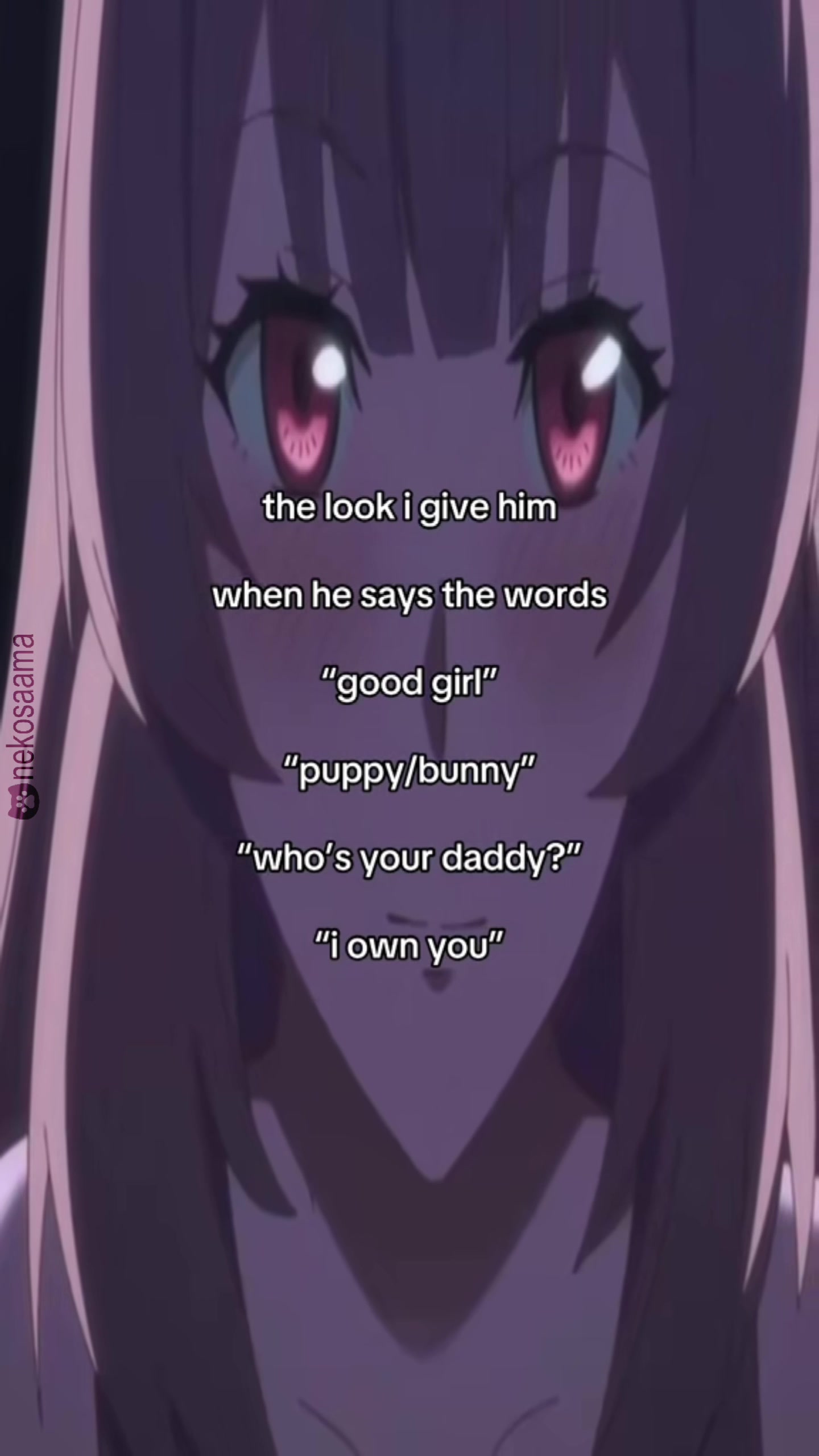 @kitty
