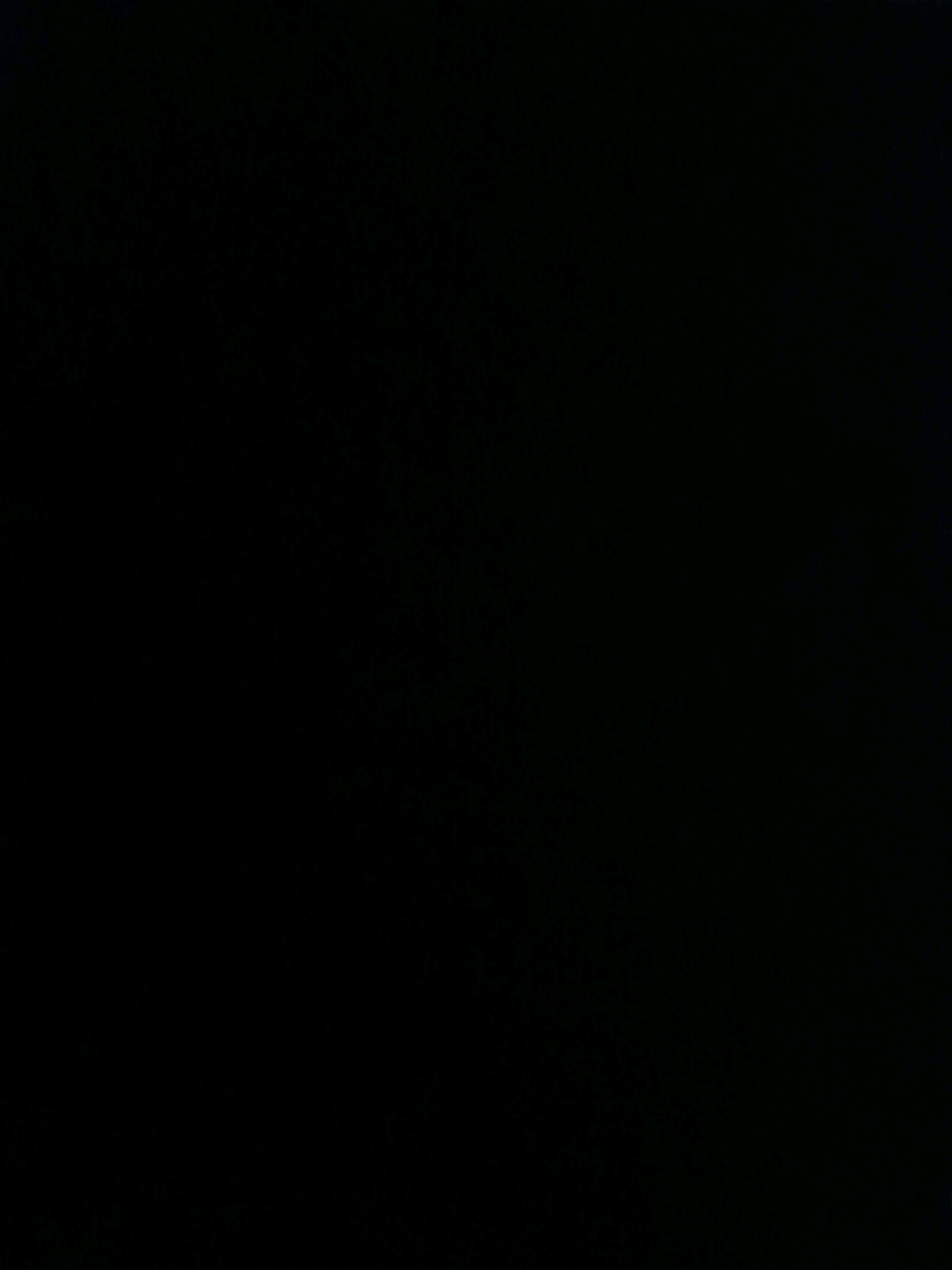 @guilherme