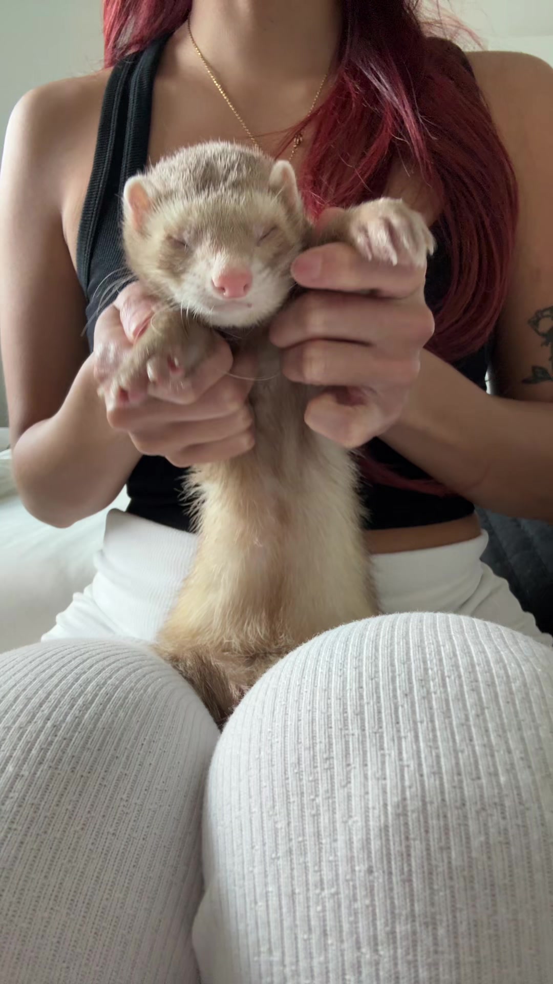 @Moon & Nala