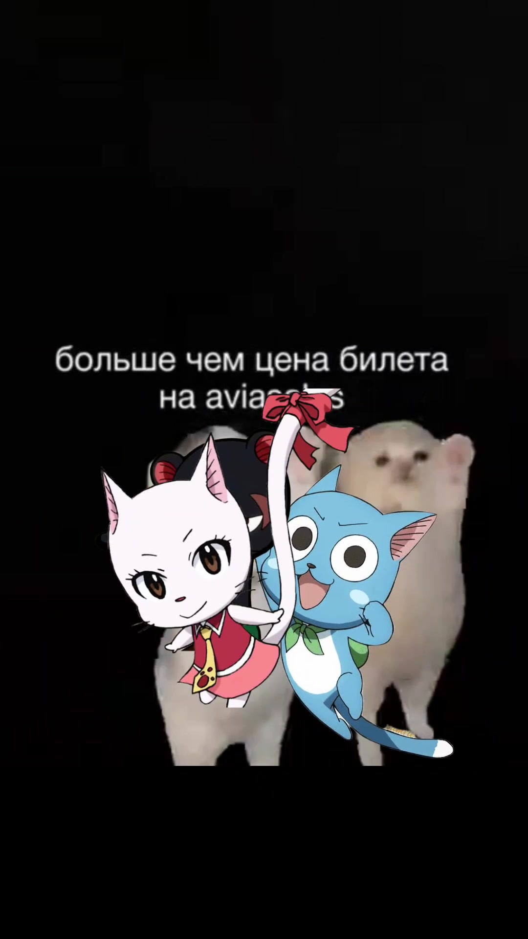 @тгк: shirroihebi<3🐍
