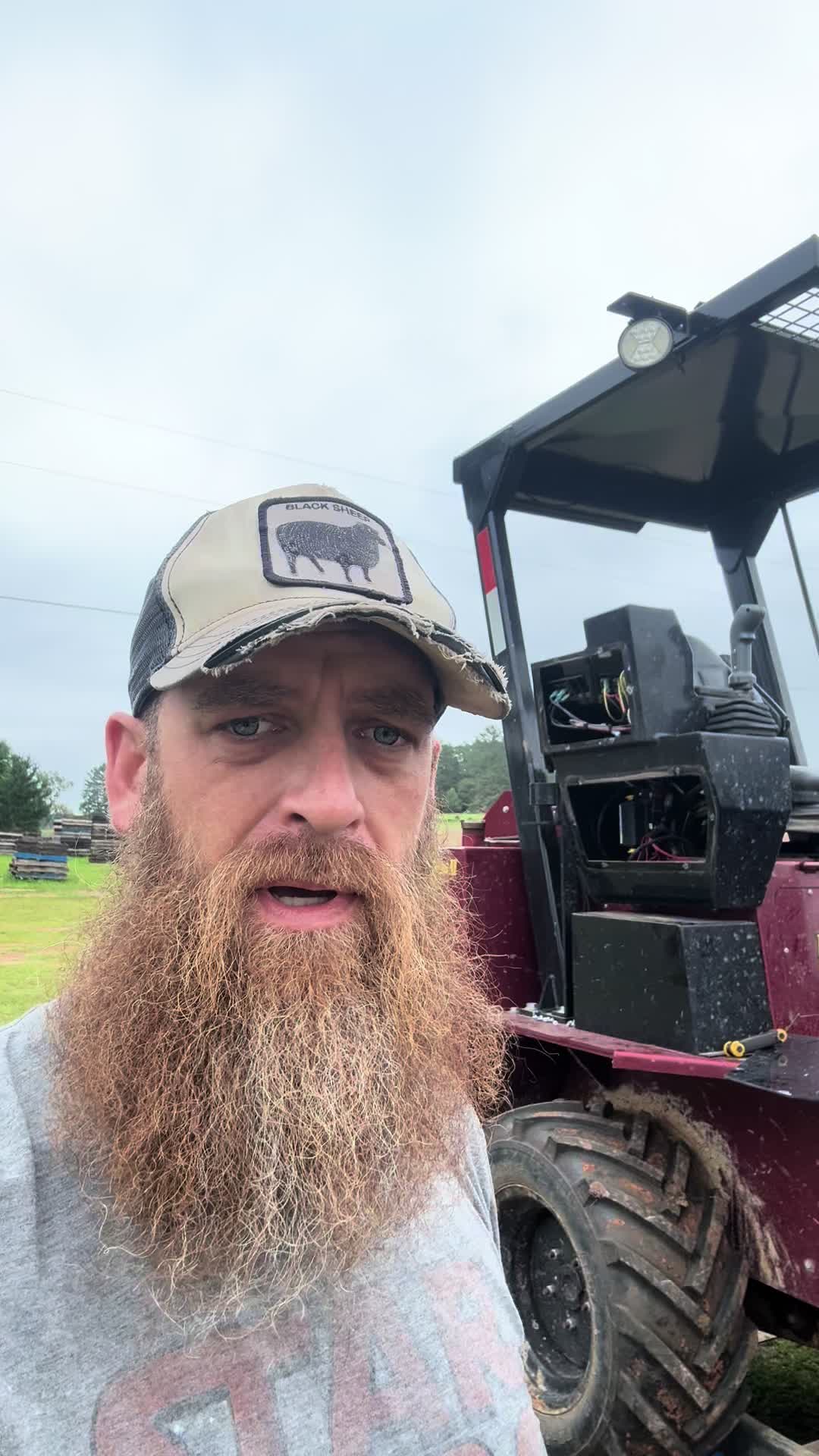 @Bearded bee man