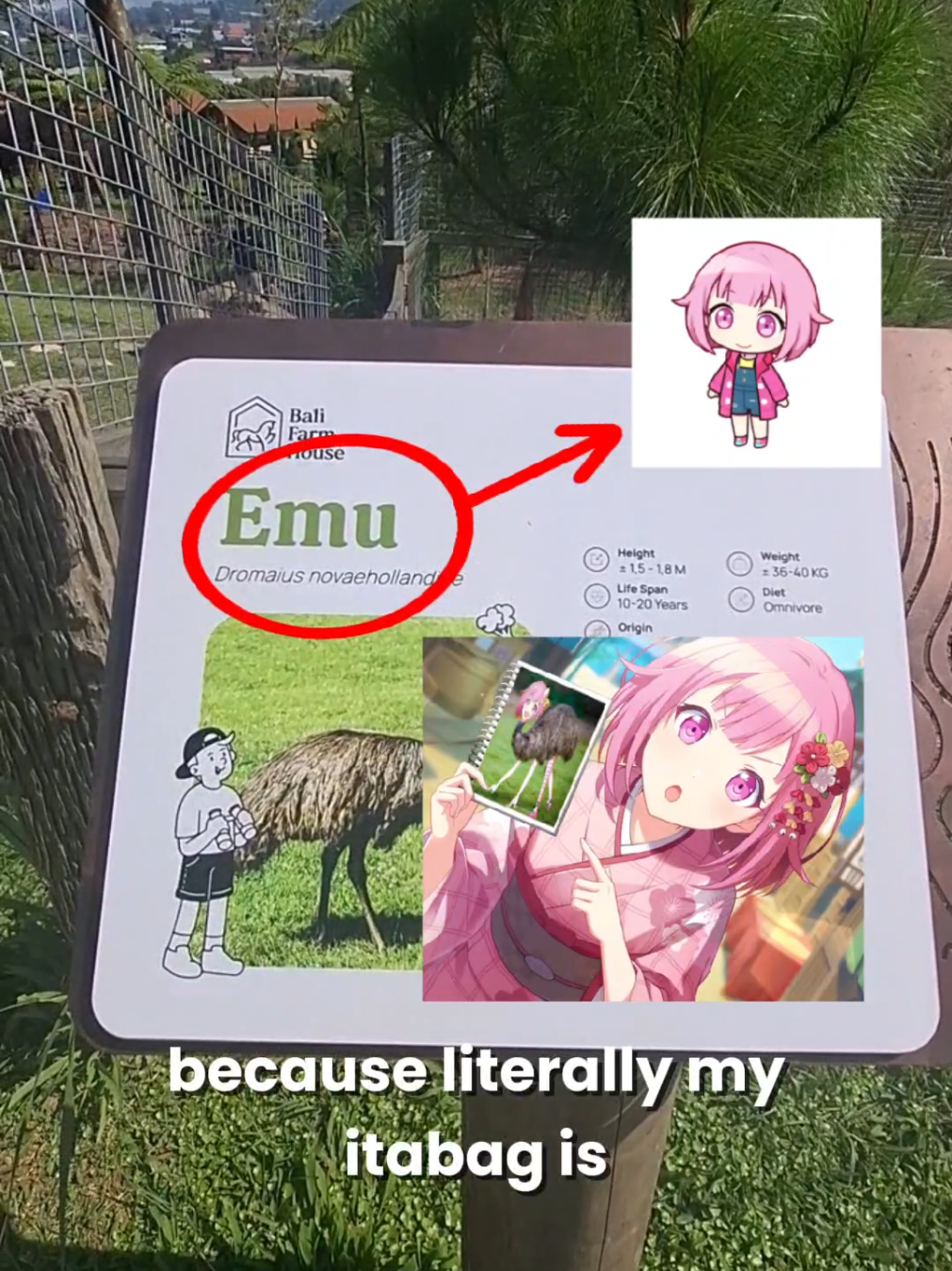 @Mikune
