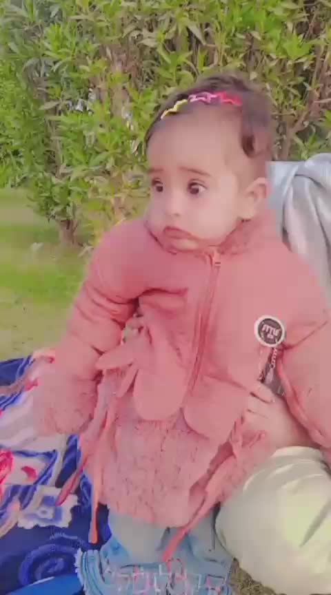 @Rana Arsal 05