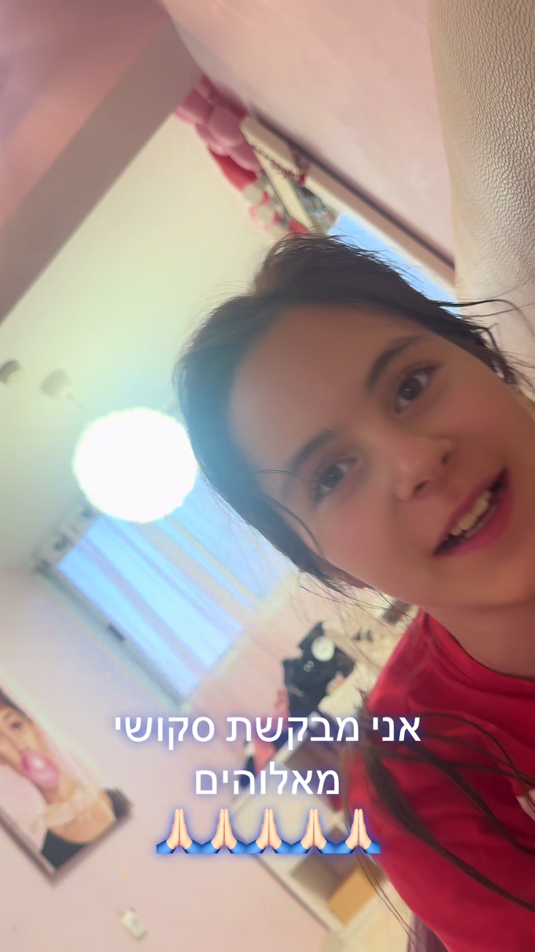 @Sofia Dvir