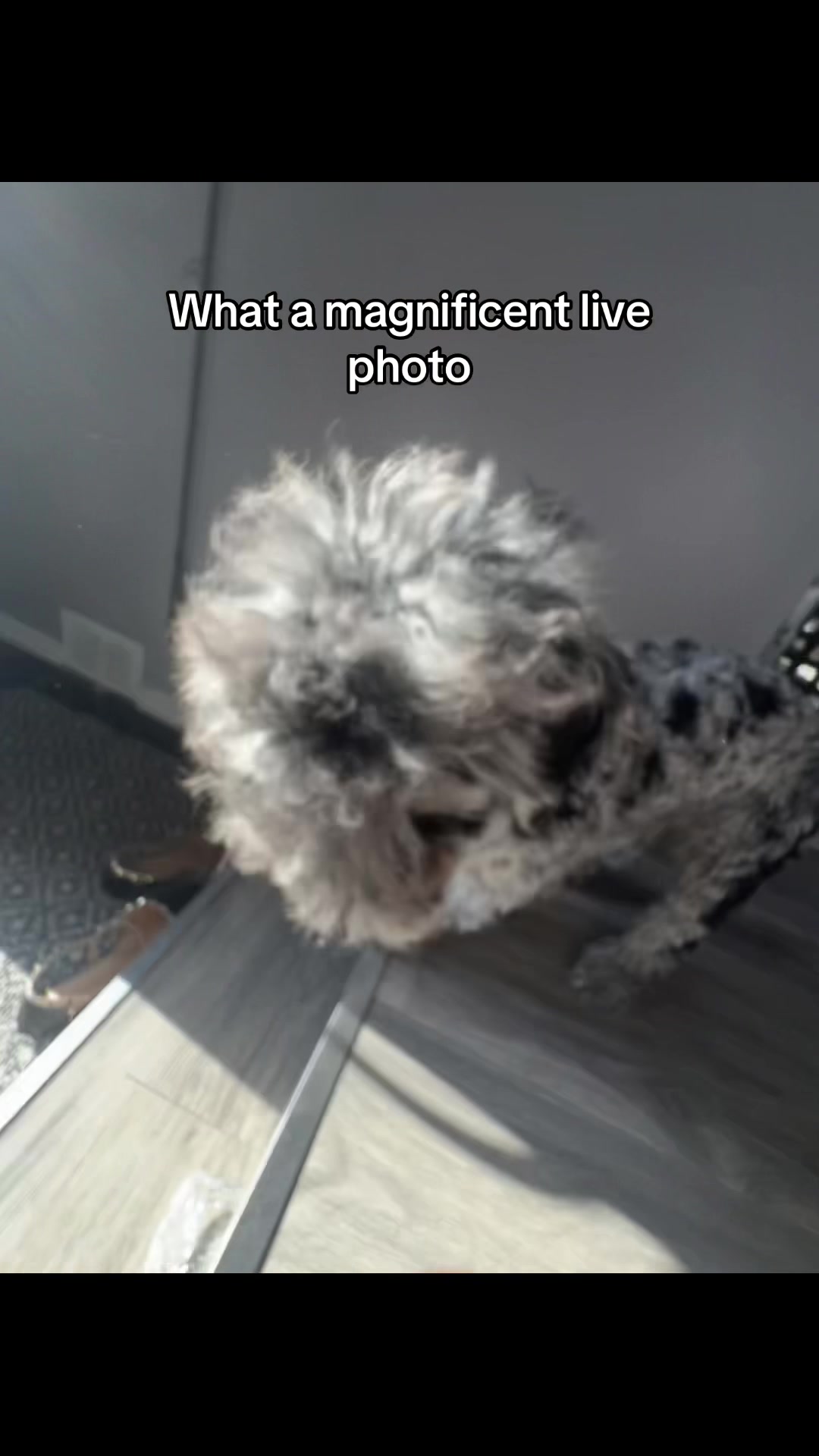 @️nonameboiii