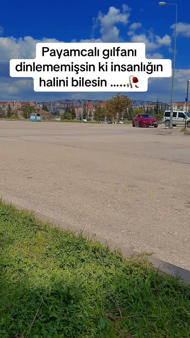 @gizemlibiri245