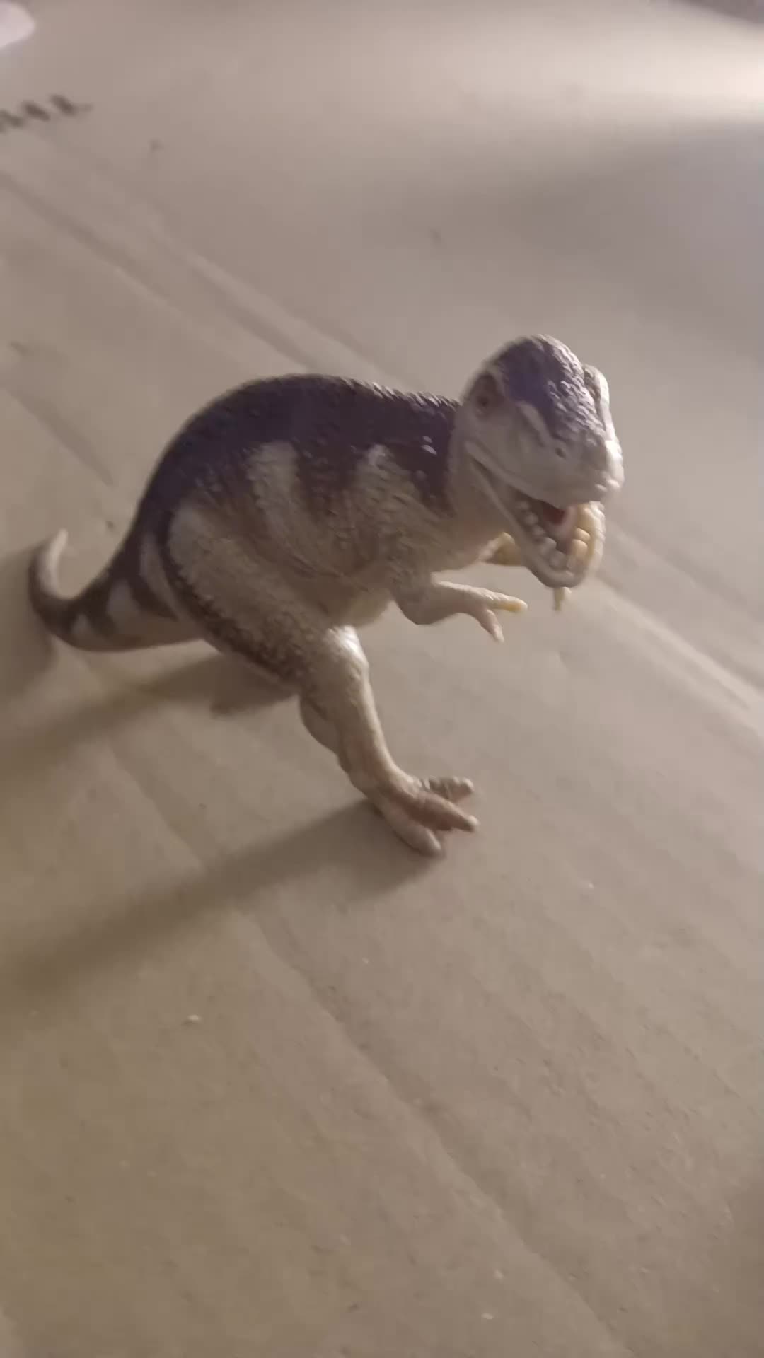 @Jurassic Raymond