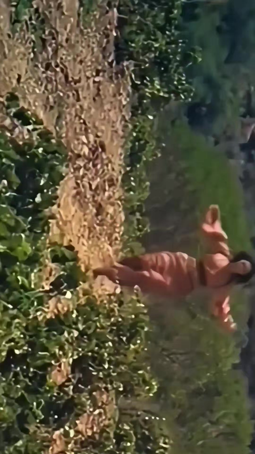 @Sergio Ramirez