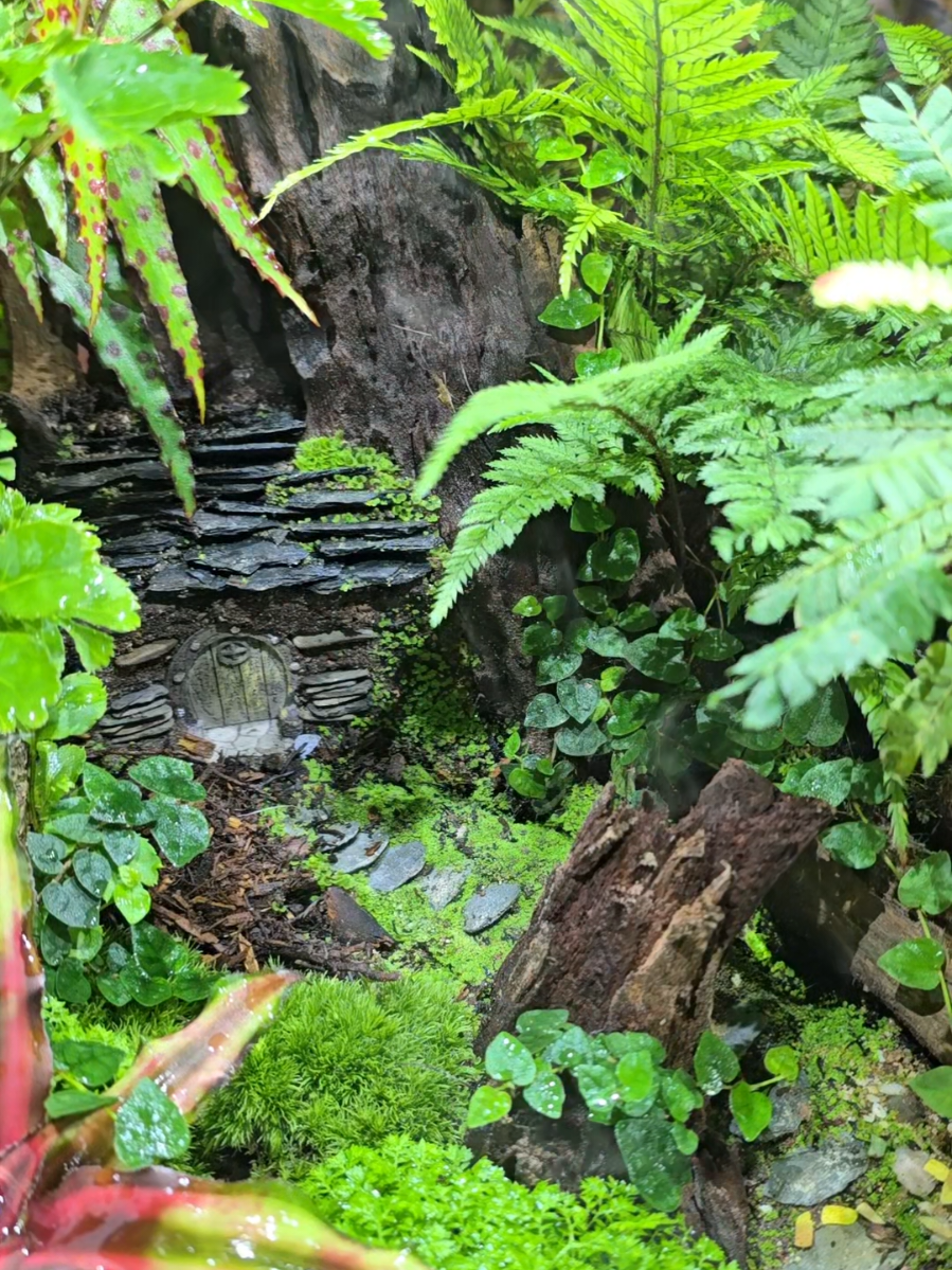 @Green Atmosphere Créations 🌿