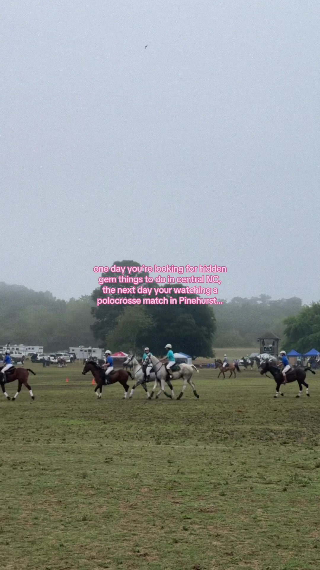 @Ellie Brizuela 🤍 Raleigh, NC