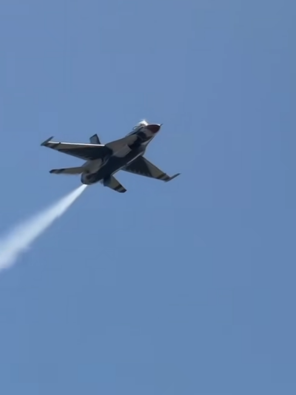 @الشاوي 🔥🇩🇿المتمرد🕸️ 🛩💙