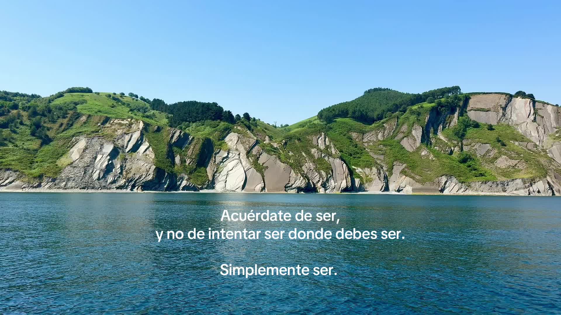 @bambi