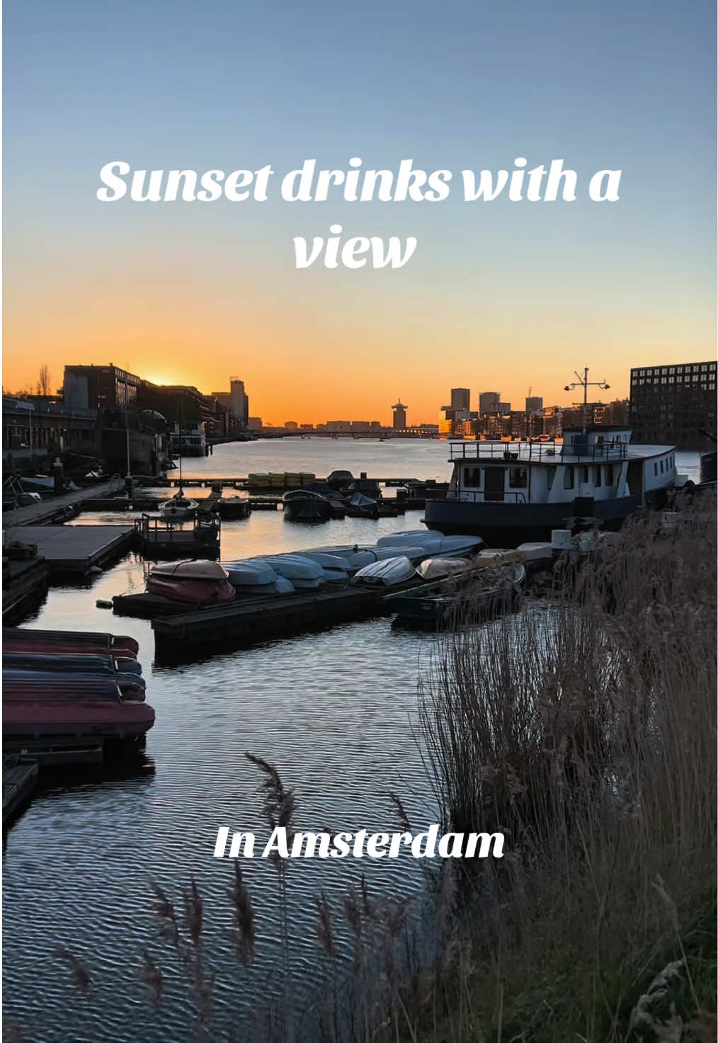 @gotoguide.amsterdam
