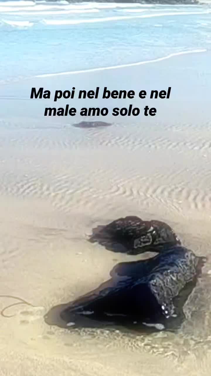 @🌹enza🌹