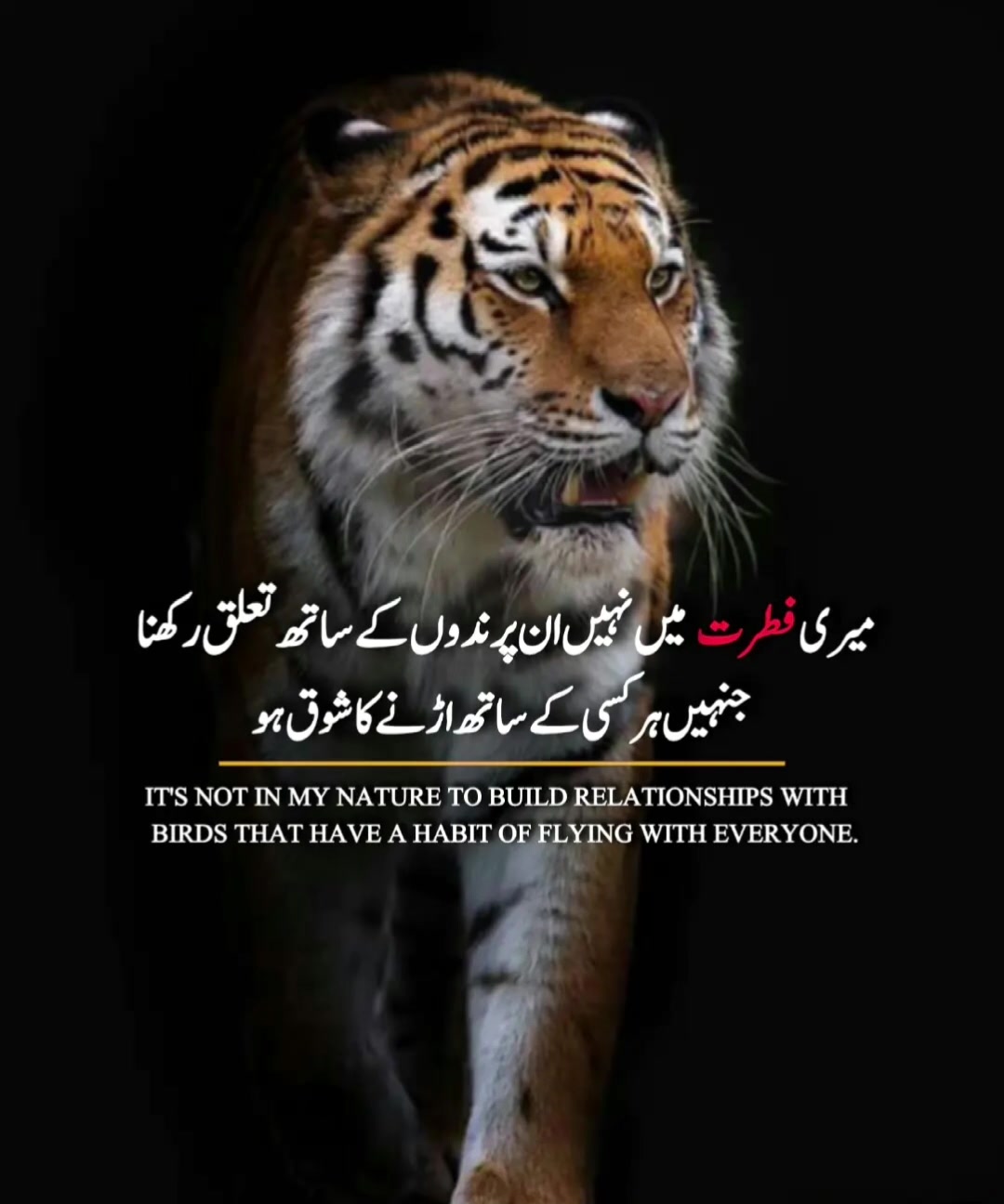 @SAttAR kHaN @786