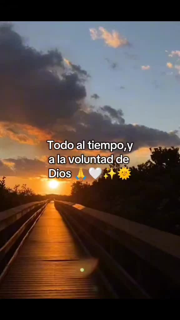 @Mode Vences
