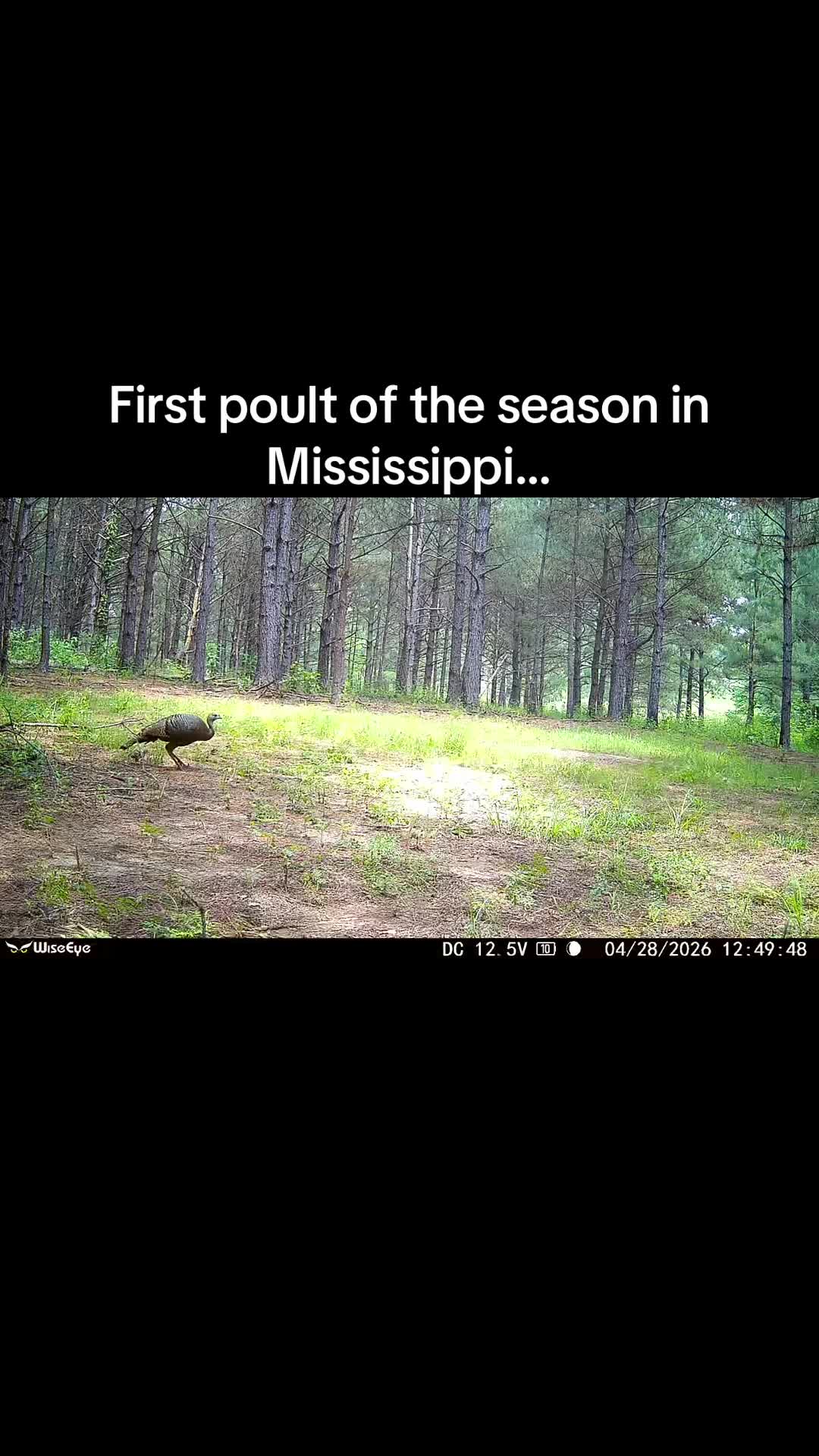 @🦃 Lynchburg Outdoors 🦌