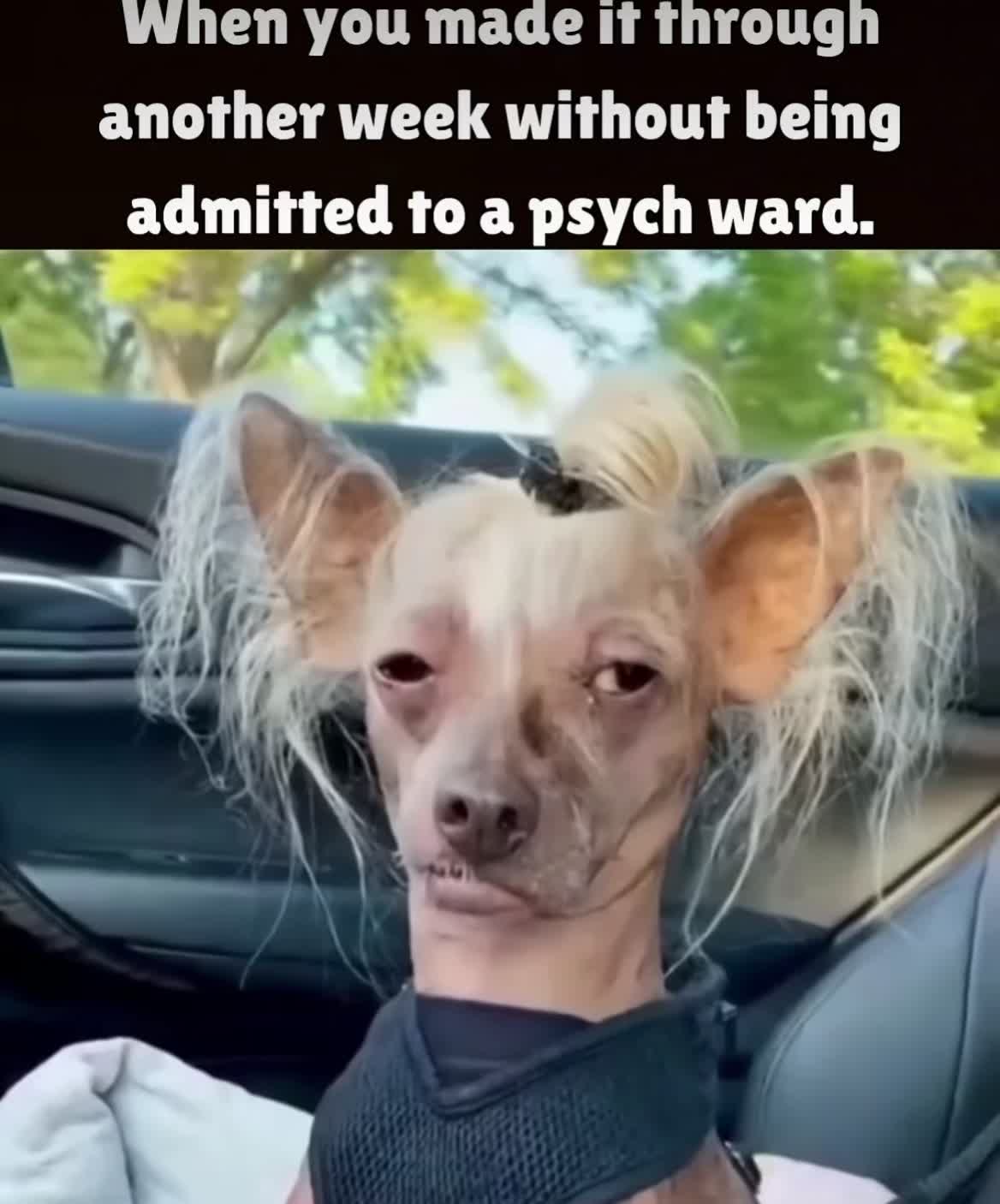 @mrsqueenzz2