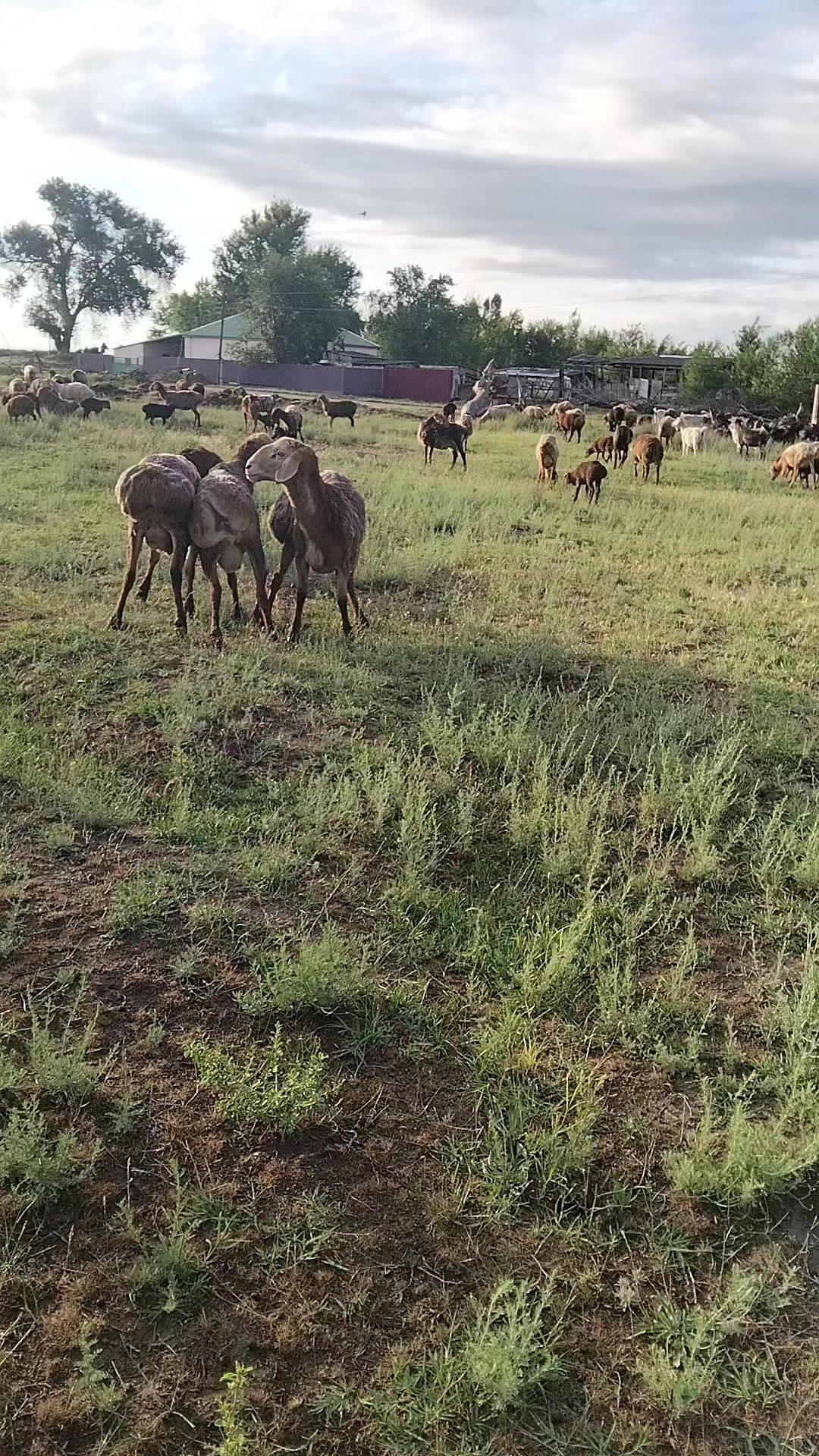 @Рахат