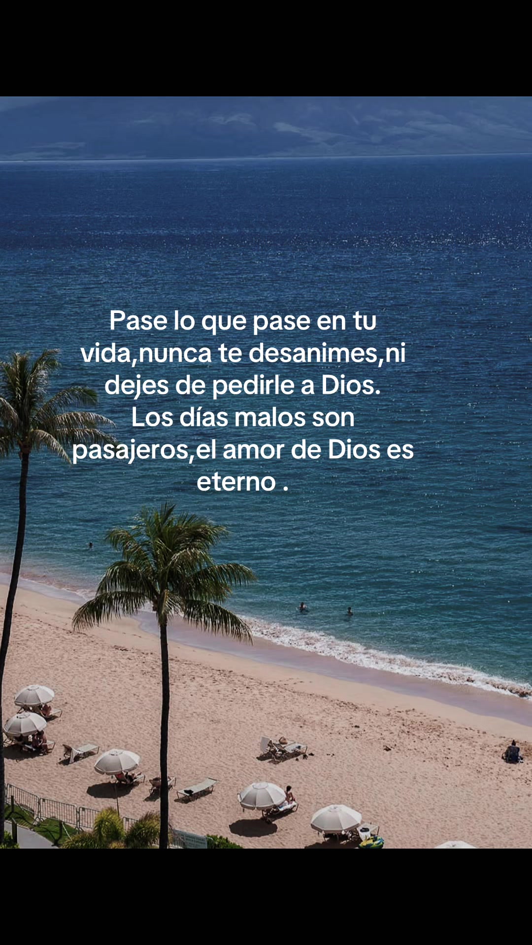 @Zoila✨🦋