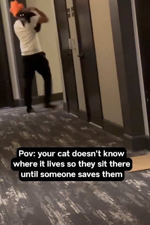 @Scare.funny.pets