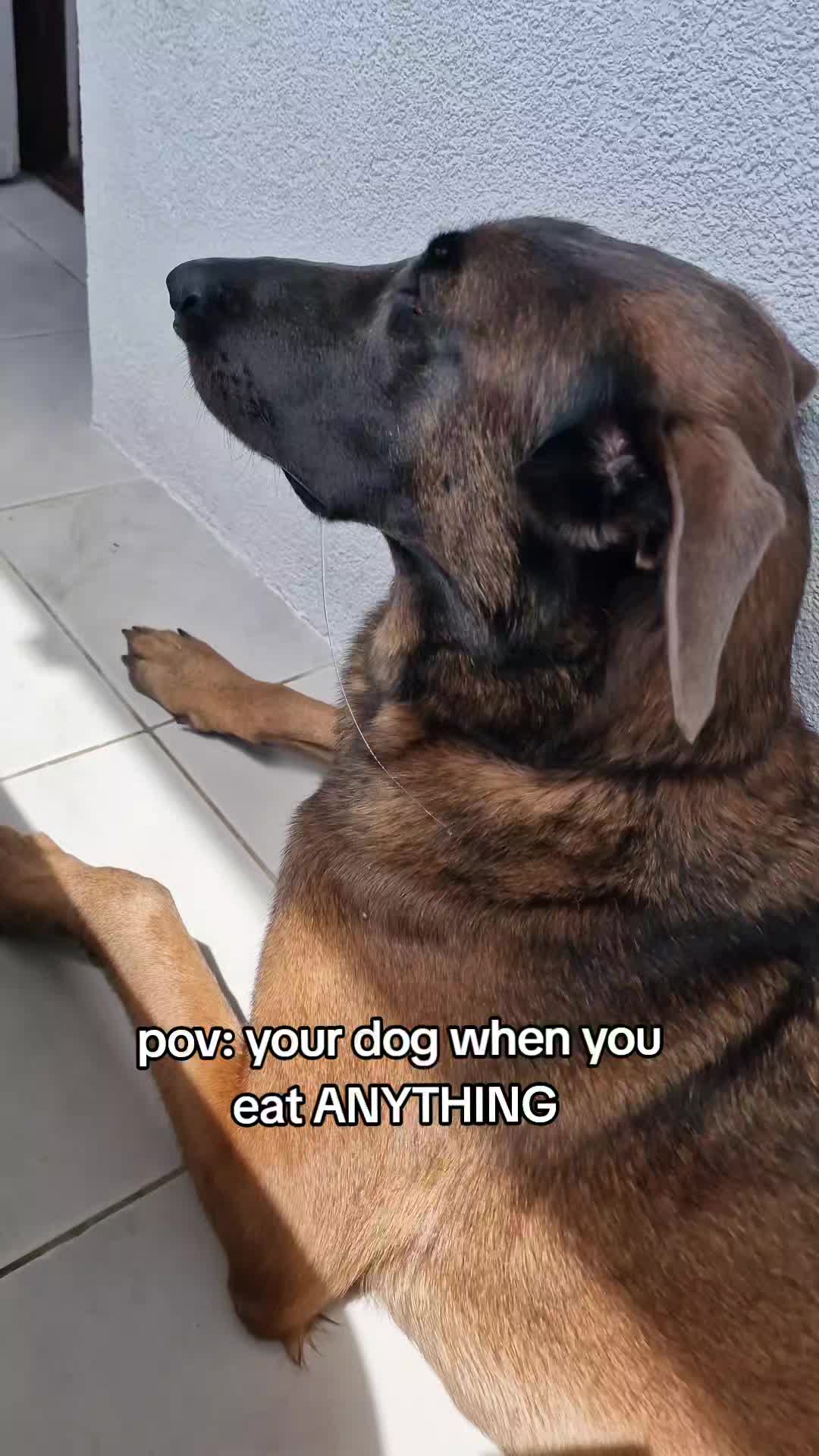 @Miss Kira