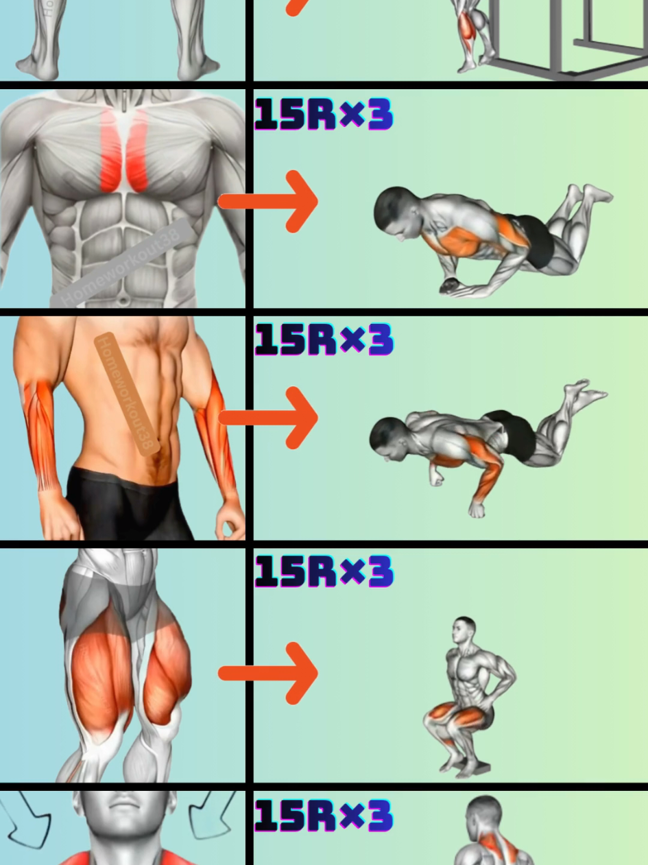 @HOMEWORKOUT