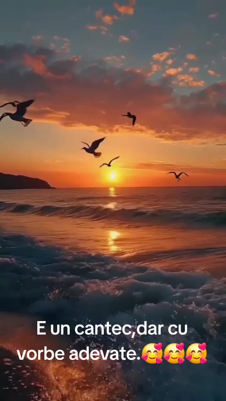 @claudiaflorian63