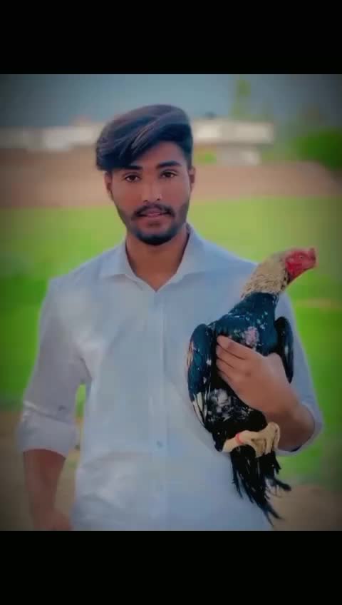 @☠︎☬ⲏ𝗮ŕ𝐬&igrave; کلسیاں الہ☠︎☬
