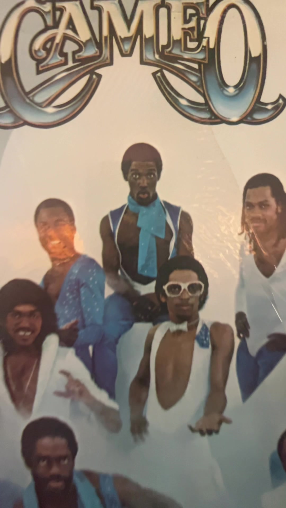 @The Vinylist