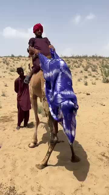 @Camel baby🐪