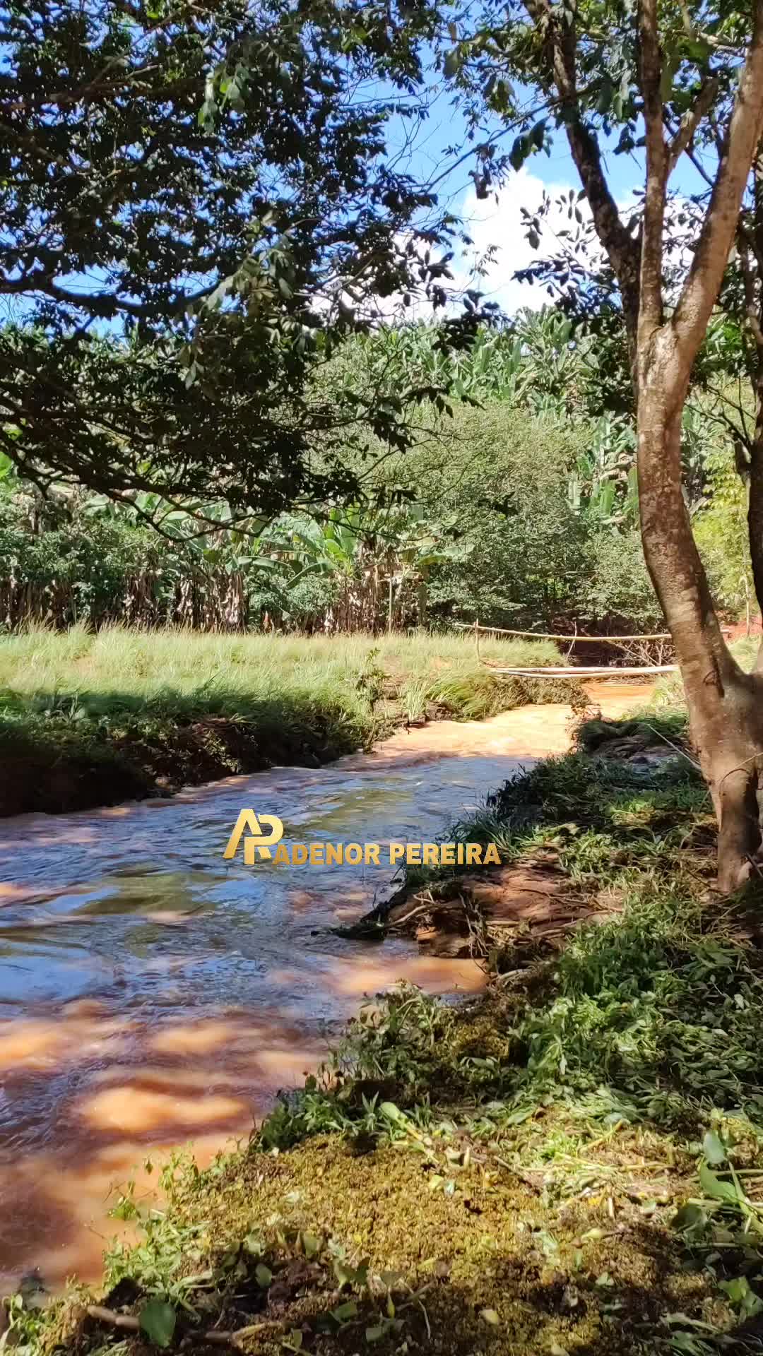 @adenor_pereira