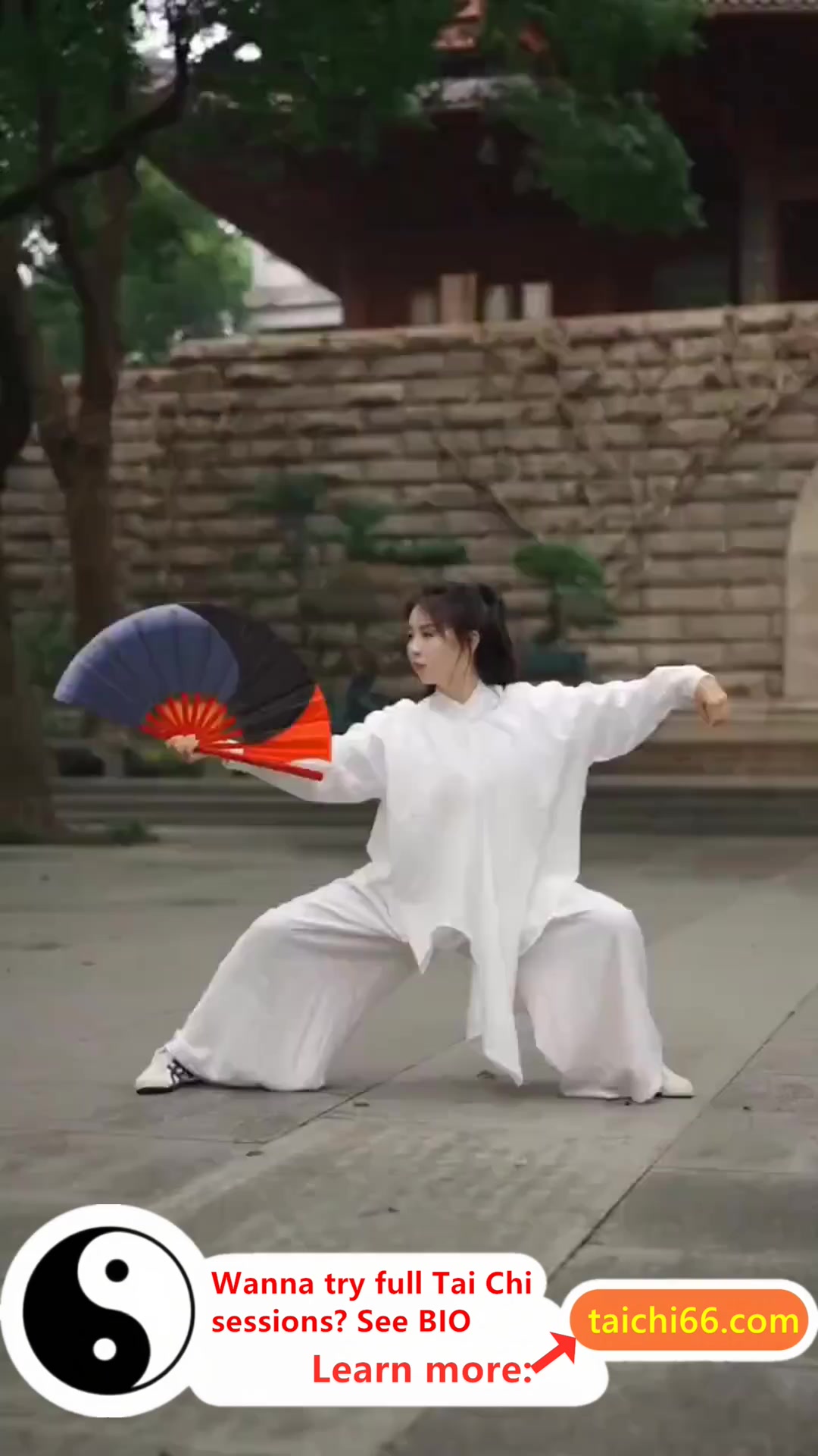 @HuaKai Taichi