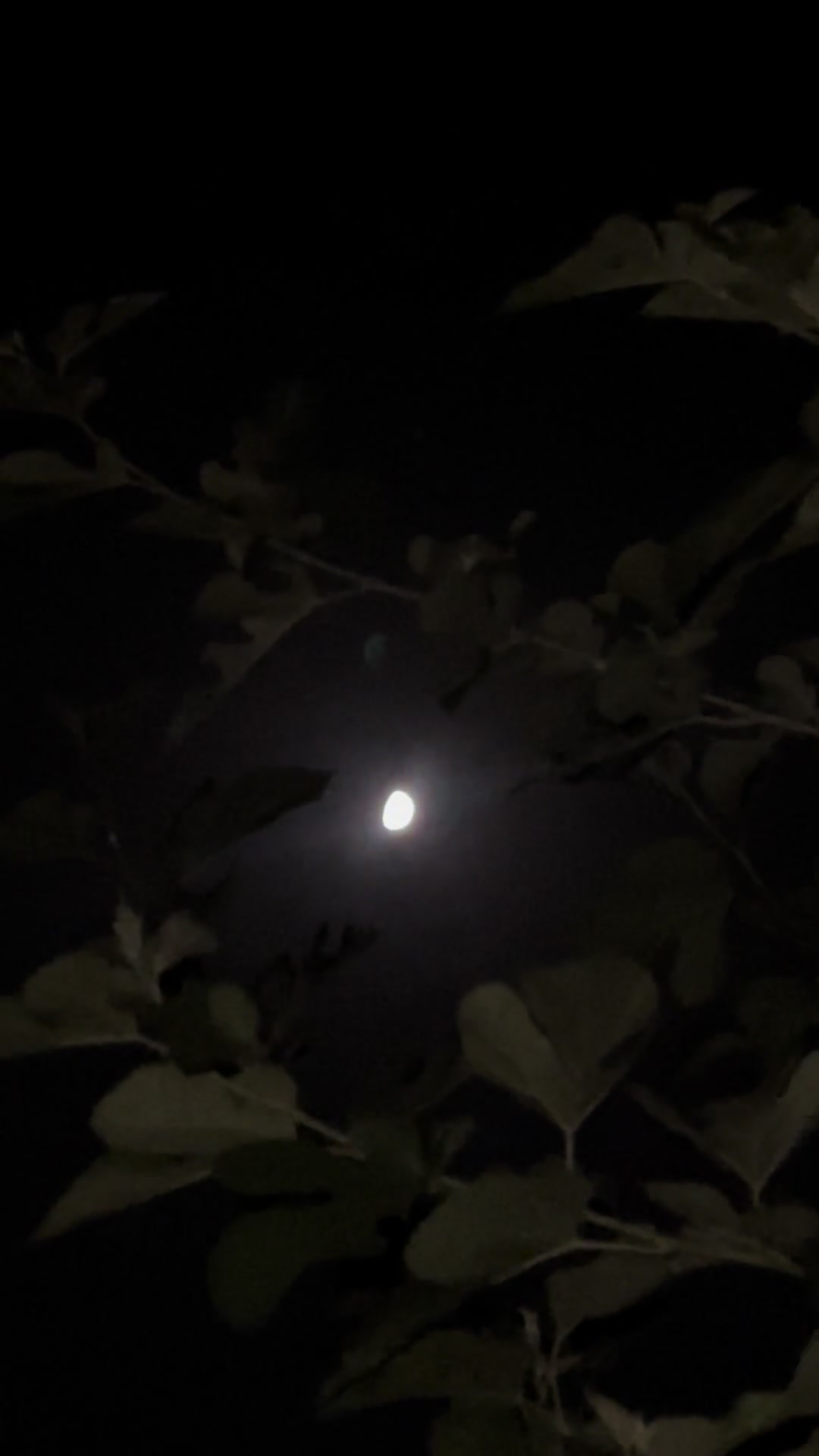 @نیازی