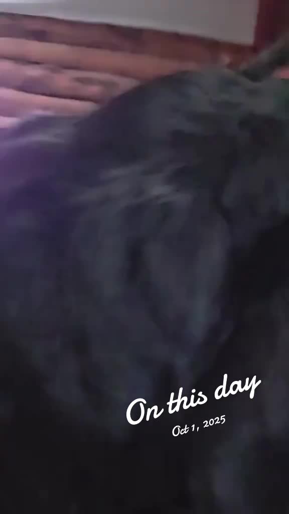 @dom